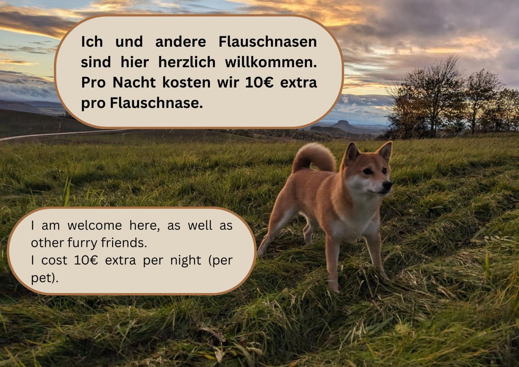 R3 - Urlaubsmagie - Helle Wohnung Mit Garten & Pool Rathmannsdorf Bagian luar foto